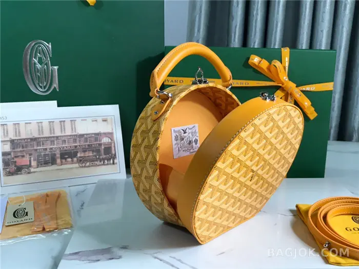 고야드 GOYARD 알토 박스 트렁크백 상세 이미지