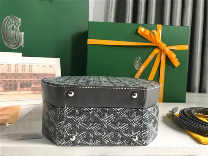 고야드 GOYARD 알토 박스 트렁크백 상세 이미지