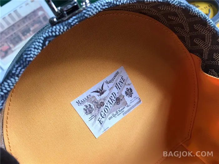 고야드 GOYARD 알토 박스 트렁크백 상세 이미지
