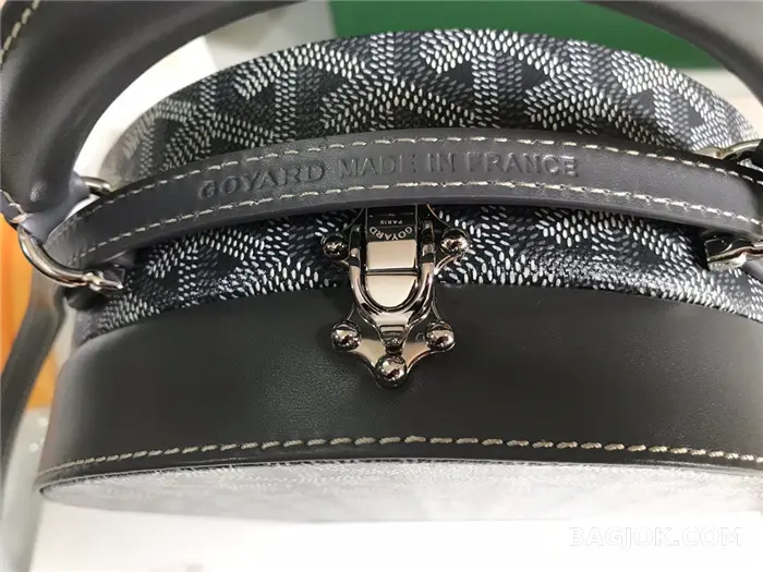 고야드 GOYARD 알토 박스 트렁크백 상세 이미지