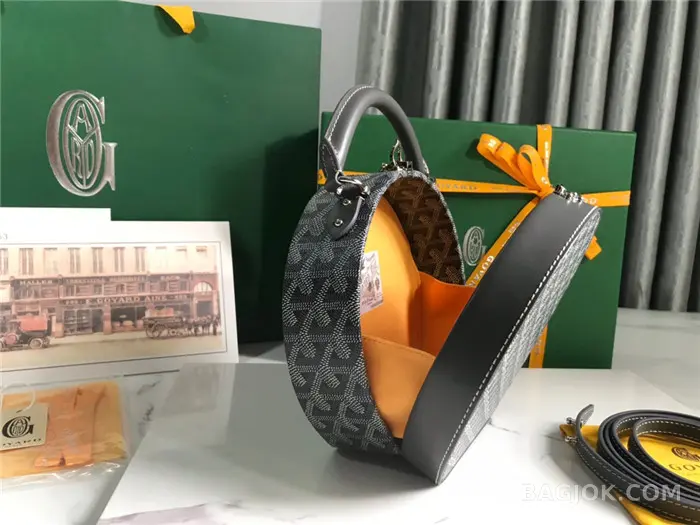 고야드 GOYARD 알토 박스 트렁크백 상세 이미지