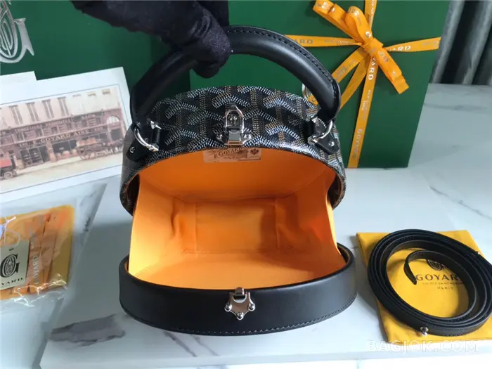 고야드 GOYARD 알토 박스 트렁크백 상세 이미지