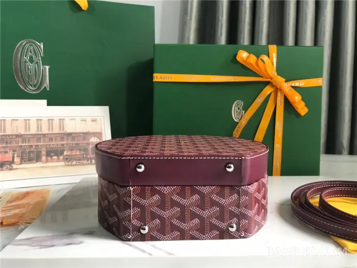 고야드 GOYARD 알토 박스 트렁크백 상세 이미지