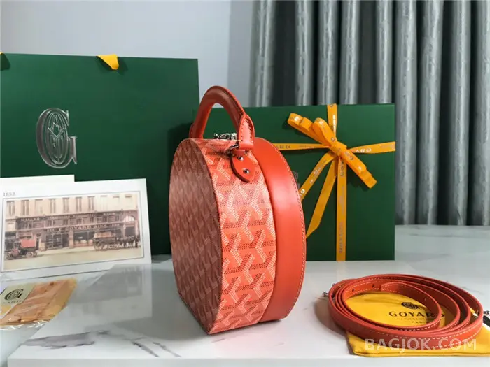 고야드 GOYARD 알토 박스 트렁크백 상세 이미지