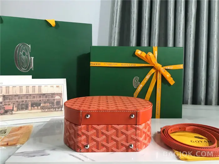 고야드 GOYARD 알토 박스 트렁크백 상세 이미지