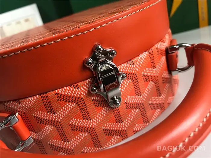 고야드 GOYARD 알토 박스 트렁크백 상세 이미지