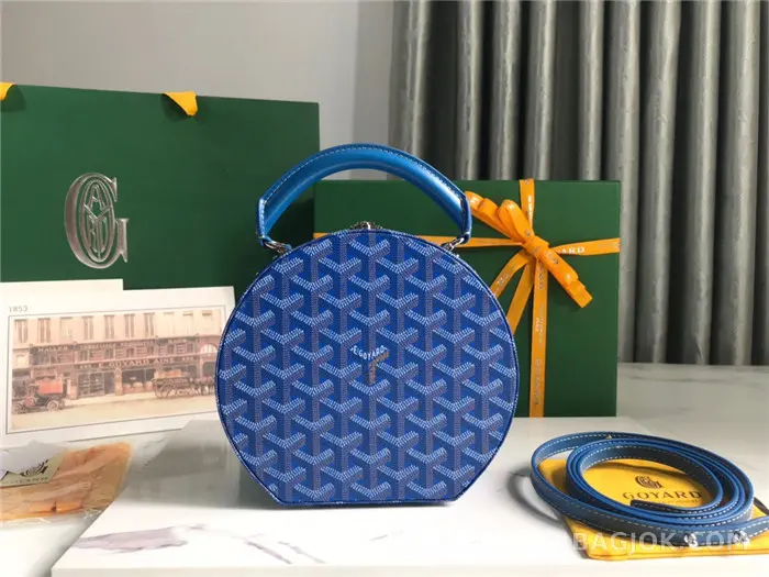 고야드 GOYARD 알토 박스 트렁크백 상세 이미지