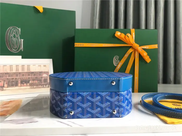 고야드 GOYARD 알토 박스 트렁크백 상세 이미지