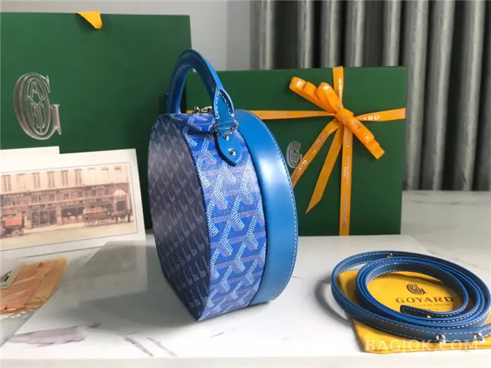 고야드 GOYARD 알토 박스 트렁크백 상세 이미지