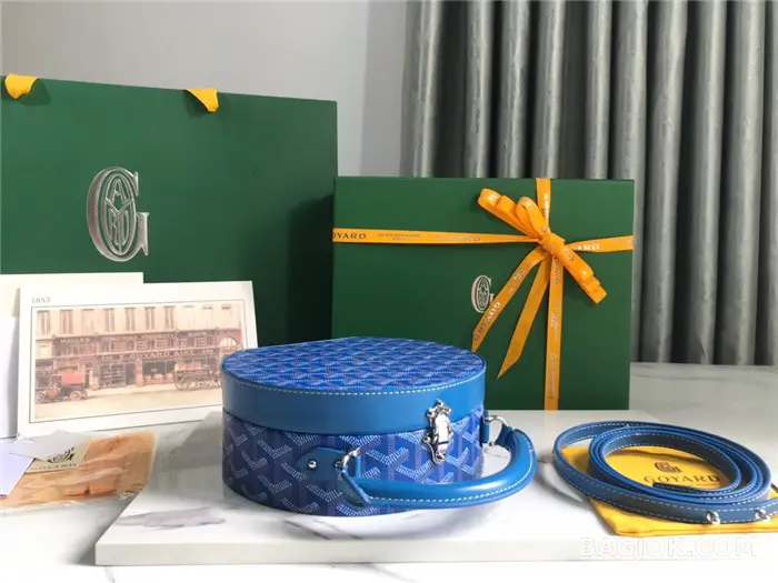 고야드 GOYARD 알토 박스 트렁크백 상세 이미지