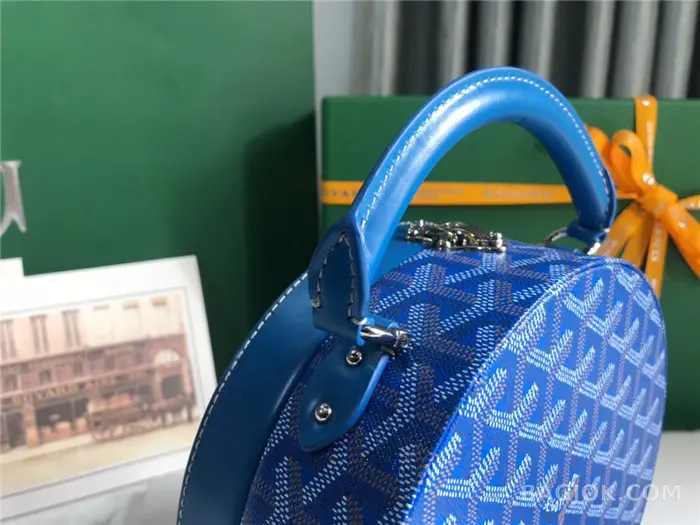고야드 GOYARD 알토 박스 트렁크백 상세 이미지