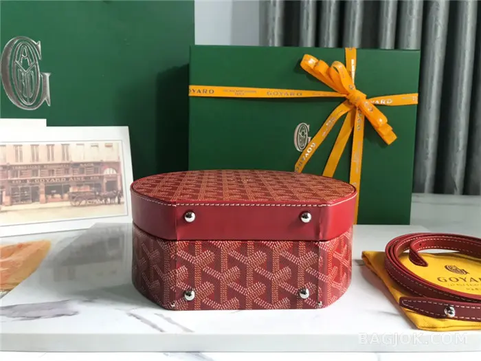 고야드 GOYARD 알토 박스 트렁크백 상세 이미지