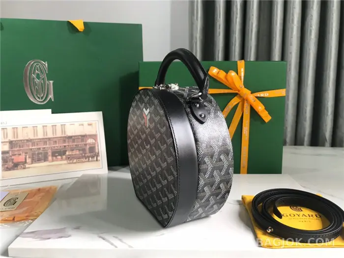 고야드 GOYARD 알토 박스 트렁크백 상세 이미지