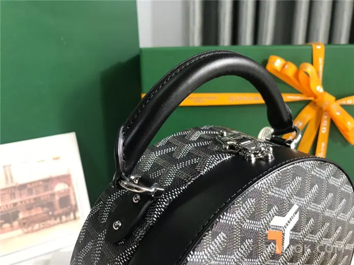 고야드 GOYARD 알토 박스 트렁크백 상세 이미지