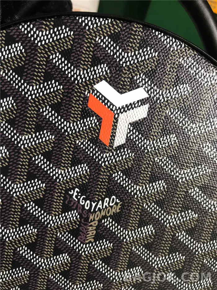 고야드 GOYARD 알토 박스 트렁크백 상세 이미지