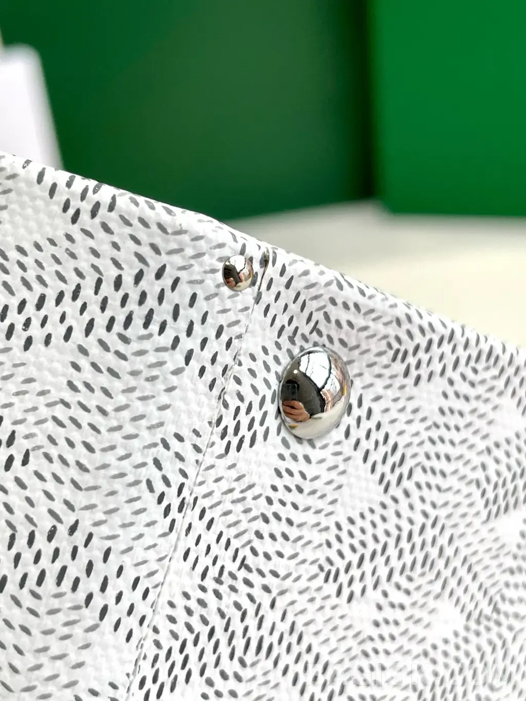 고야드 GOYARD 알토 박스 트렁크백 상세 이미지