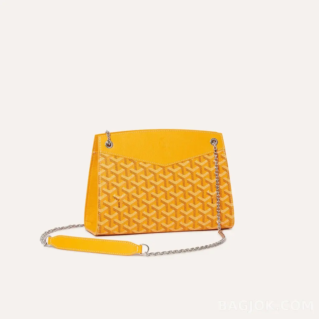 고야드 GOYARD 스트럭쳐 루엣뜨 백 PM 상세 이미지