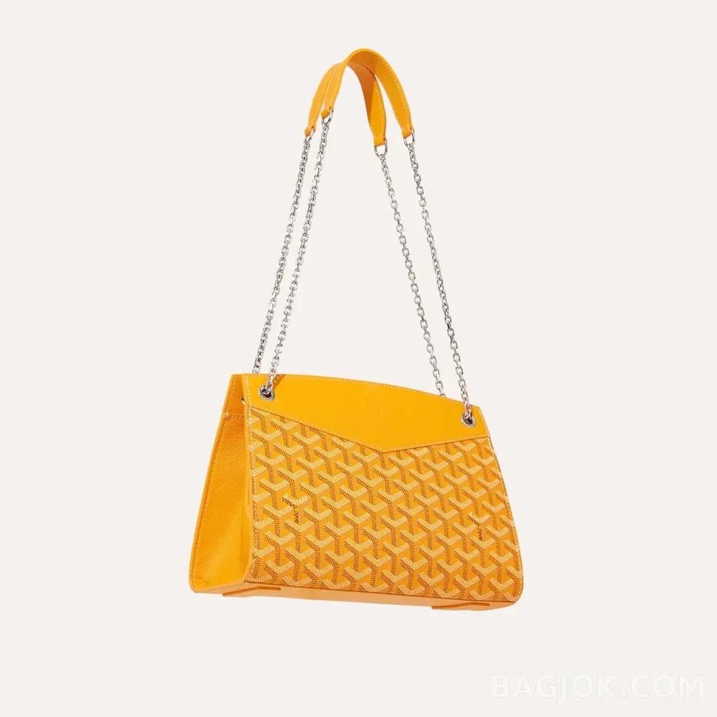 고야드 GOYARD 스트럭쳐 루엣뜨 백 PM 상세 이미지