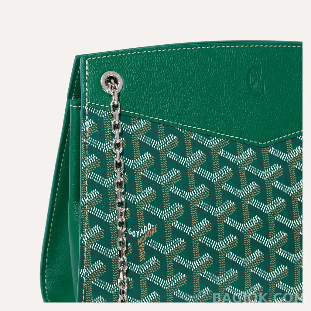 고야드 GOYARD 스트럭쳐 루엣뜨 백 PM 상세 이미지