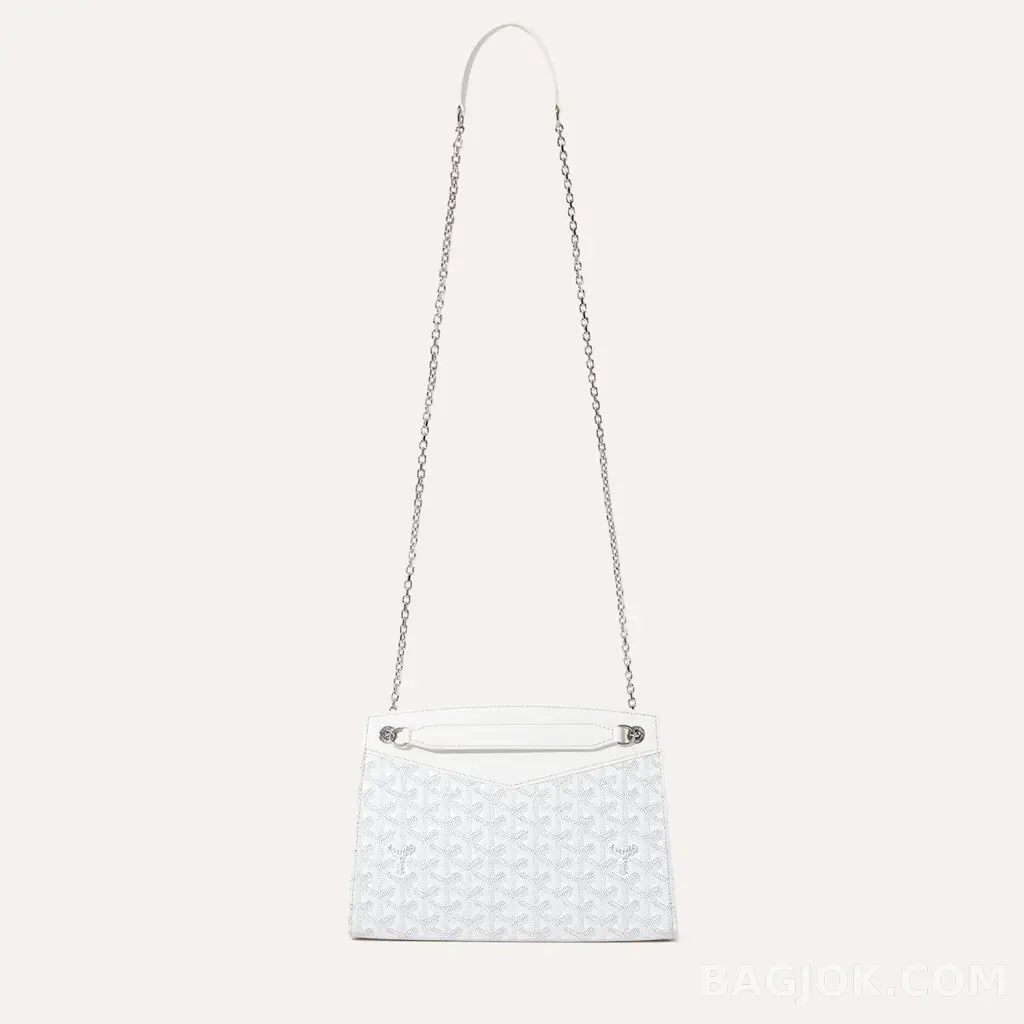 고야드 GOYARD 스트럭쳐 루엣뜨 백 PM 상세 이미지