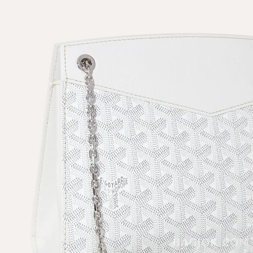 고야드 GOYARD 스트럭쳐 루엣뜨 백 PM 상세 이미지