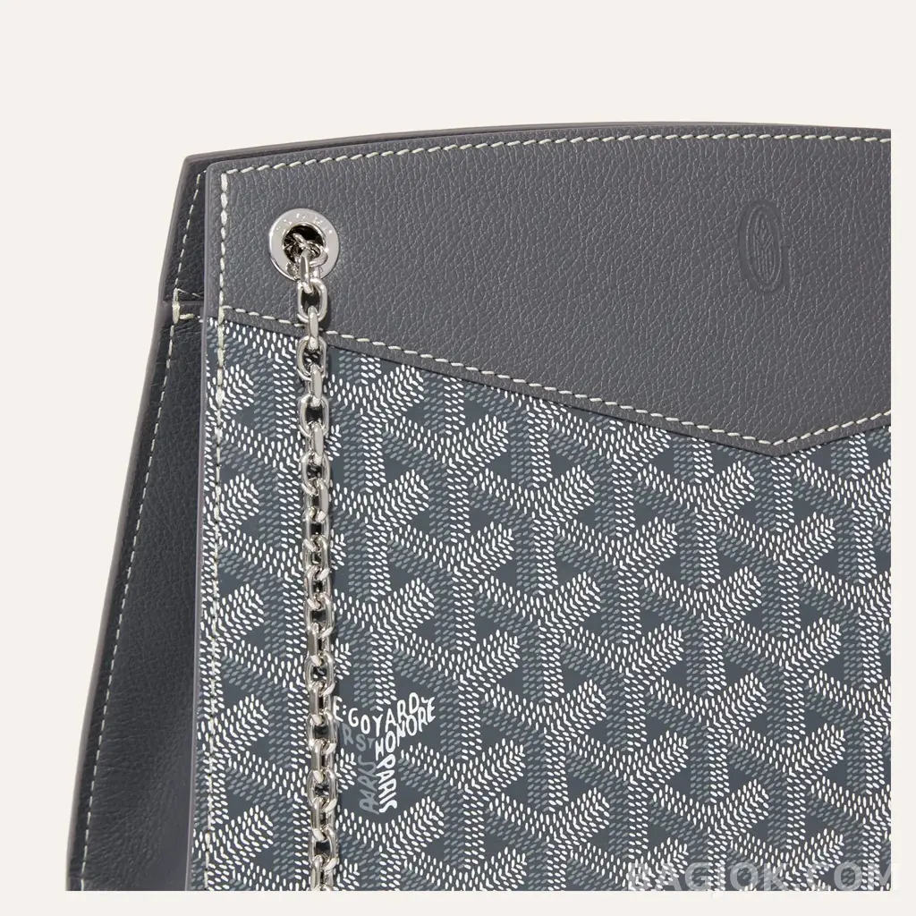 고야드 GOYARD 스트럭쳐 루엣뜨 백 PM 상세 이미지