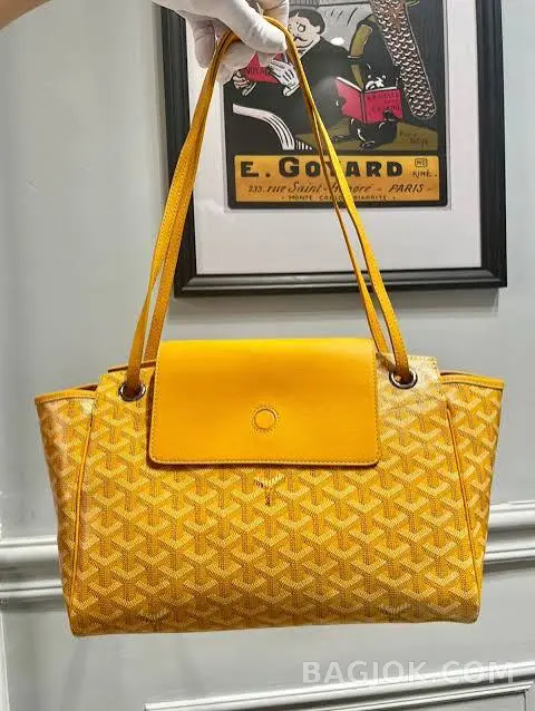 고야드 GOYARD 루엣뜨 백 PM 상세 이미지