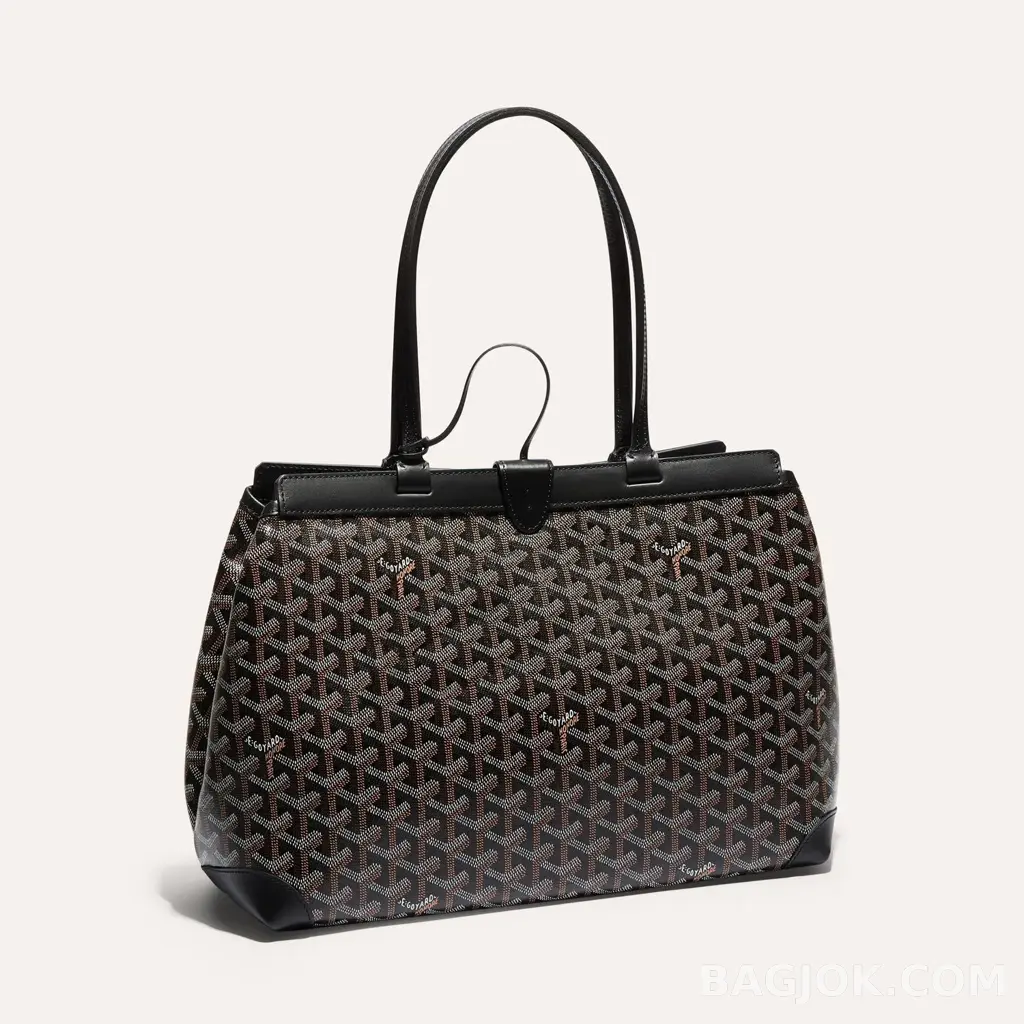 고야드 GOYARD 벨샤스 비유드 백 PM 상세 이미지