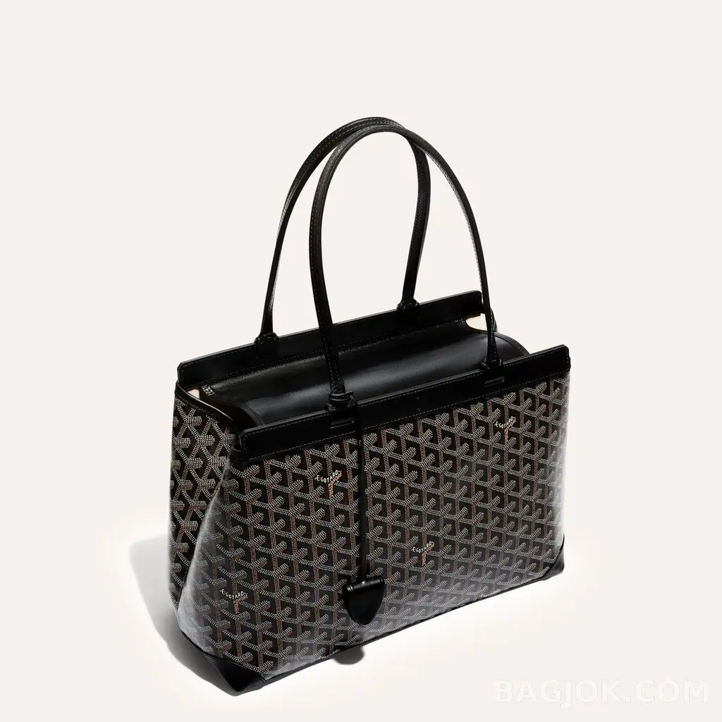 고야드 GOYARD 벨샤스 비유드 백 PM 상세 이미지