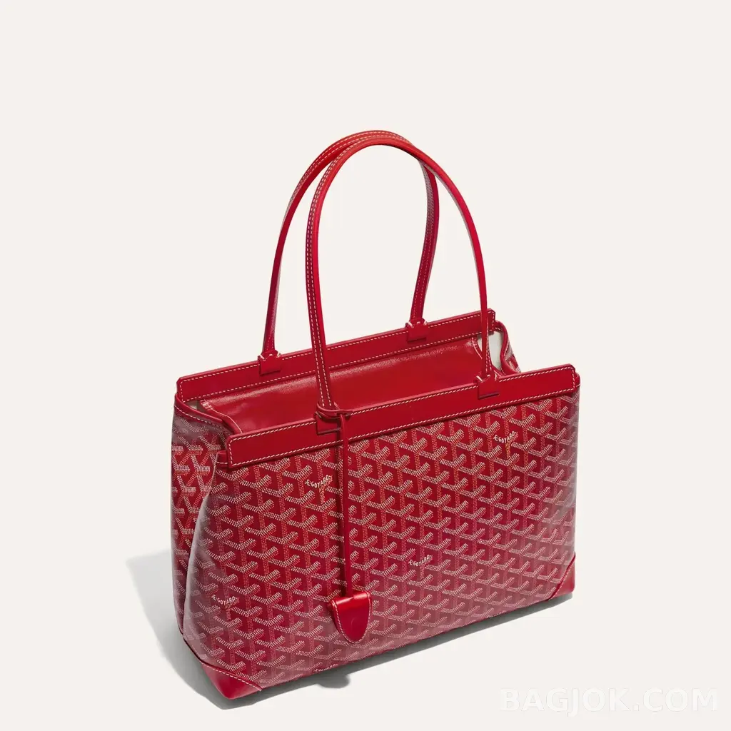 고야드 GOYARD 벨샤스 비유드 백 PM 상세 이미지