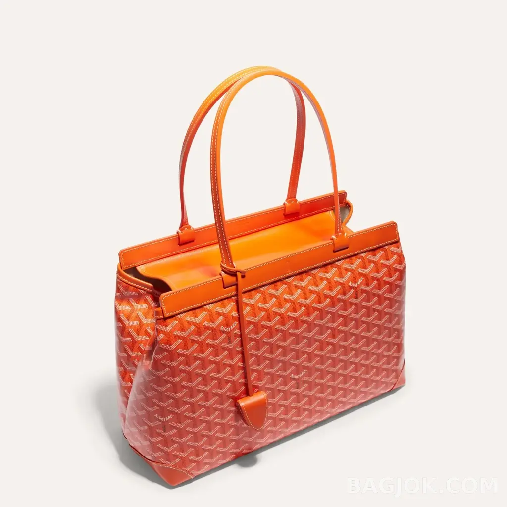 고야드 GOYARD 벨샤스 비유드 백 PM 상세 이미지