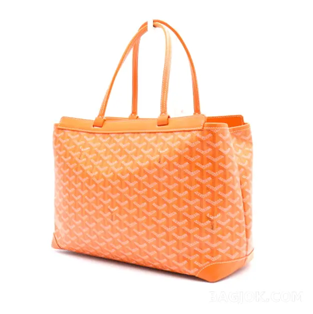 고야드 GOYARD 벨샤스 비유드 백 PM 상세 이미지