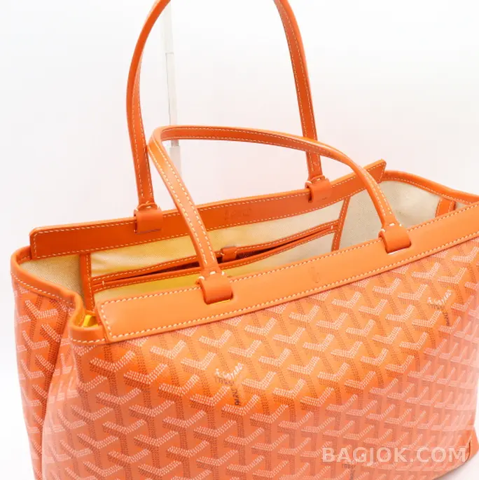 고야드 GOYARD 벨샤스 비유드 백 PM 상세 이미지