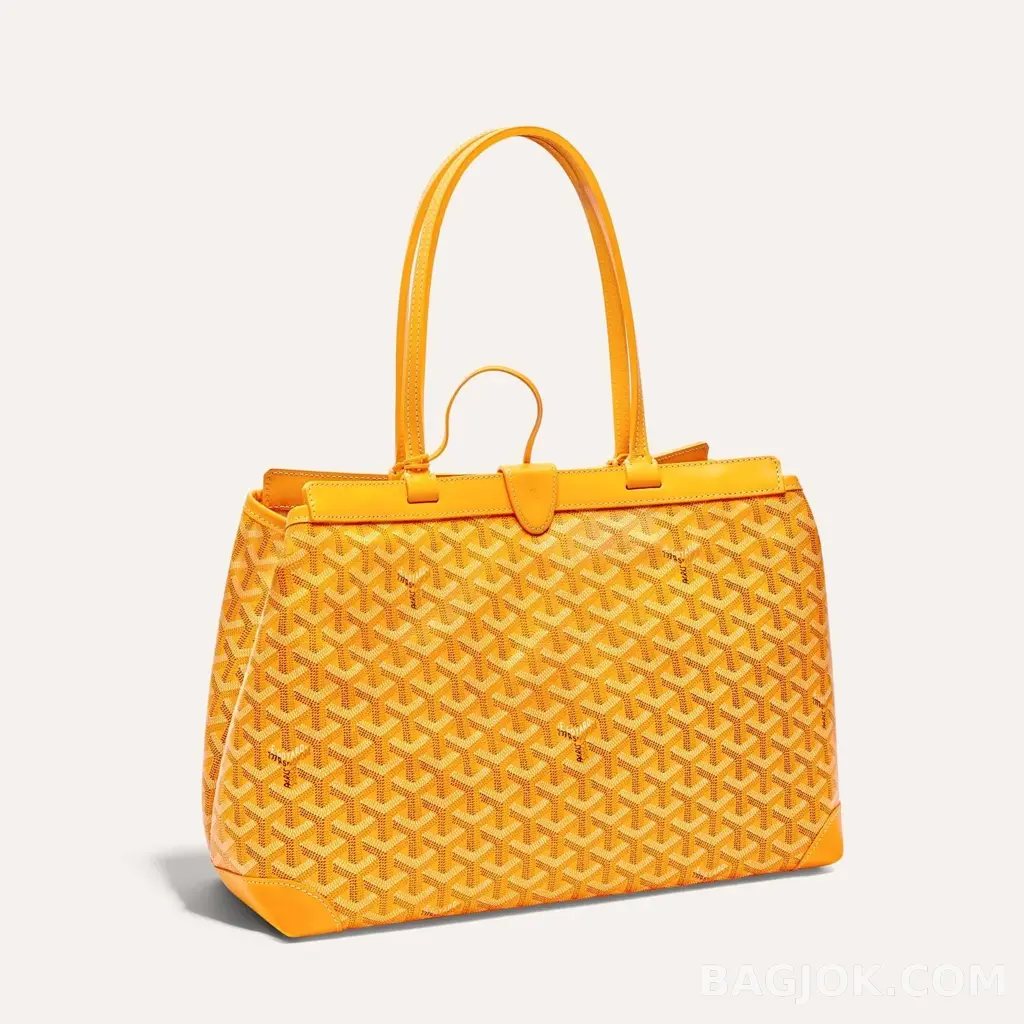 고야드 GOYARD 벨샤스 비유드 백 PM 상세 이미지