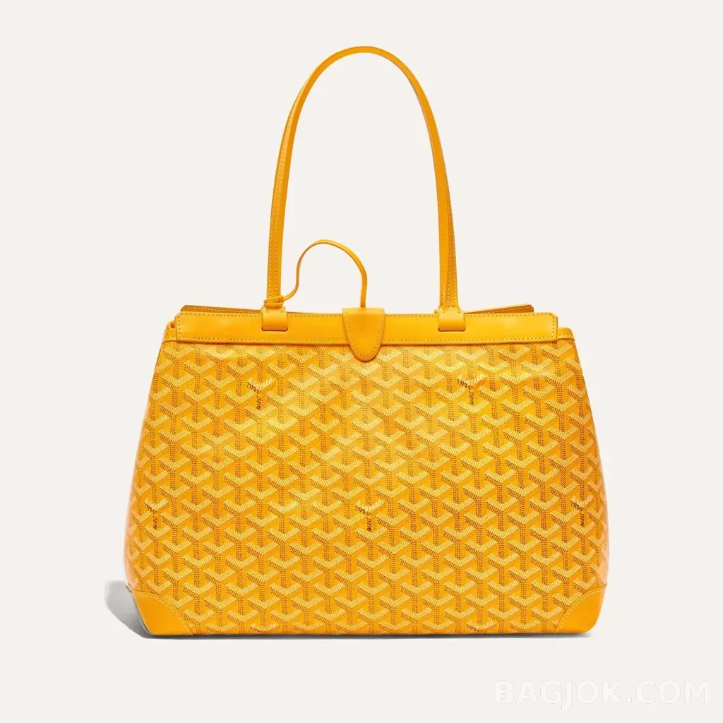 고야드 GOYARD 벨샤스 비유드 백 PM 상세 이미지