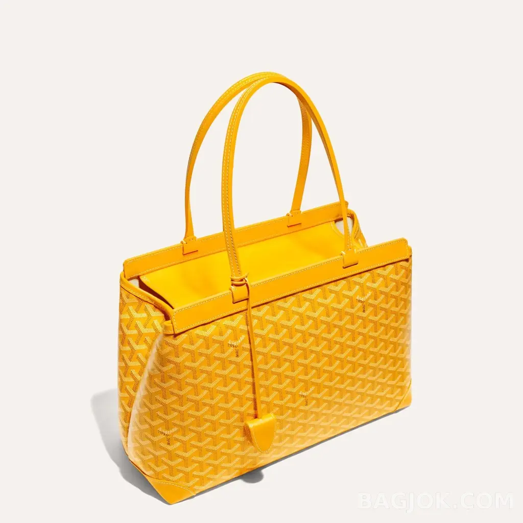 고야드 GOYARD 벨샤스 비유드 백 PM 상세 이미지