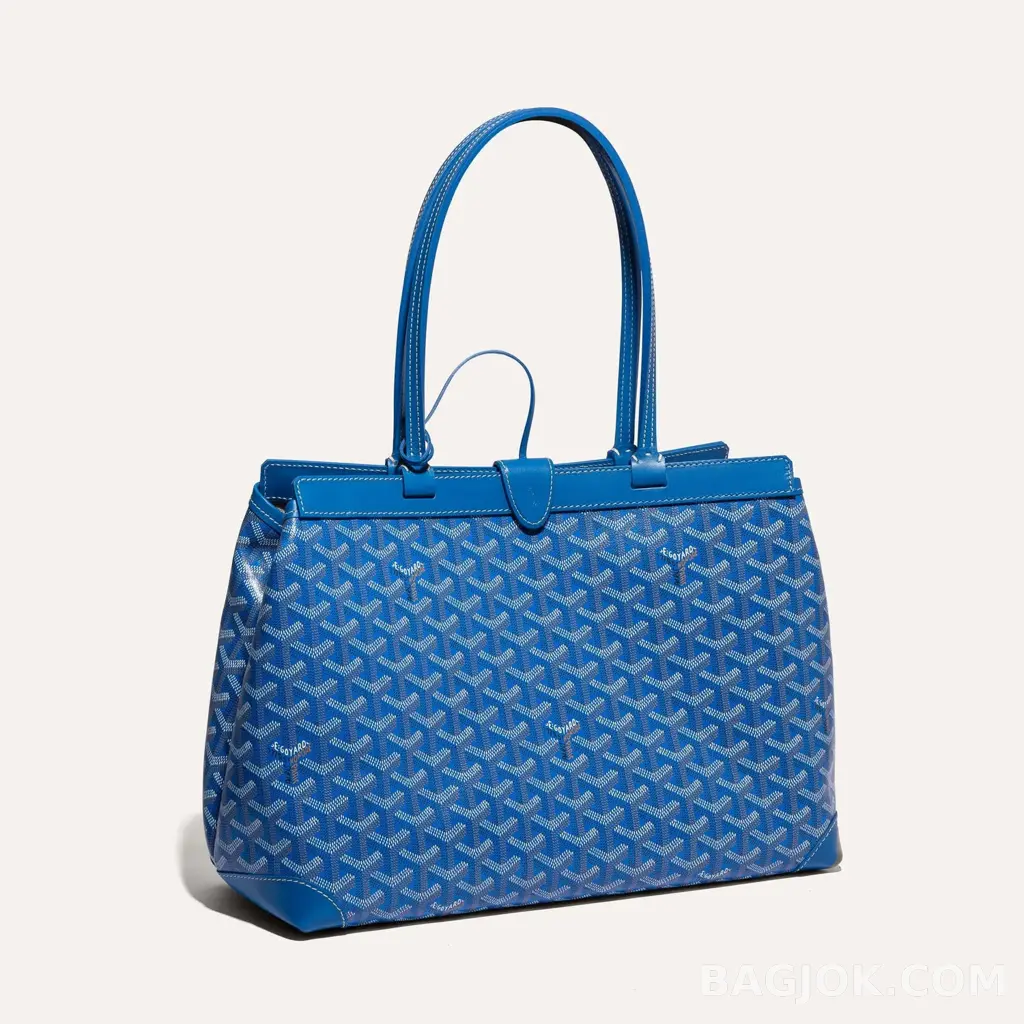 고야드 GOYARD 벨샤스 비유드 백 PM 상세 이미지