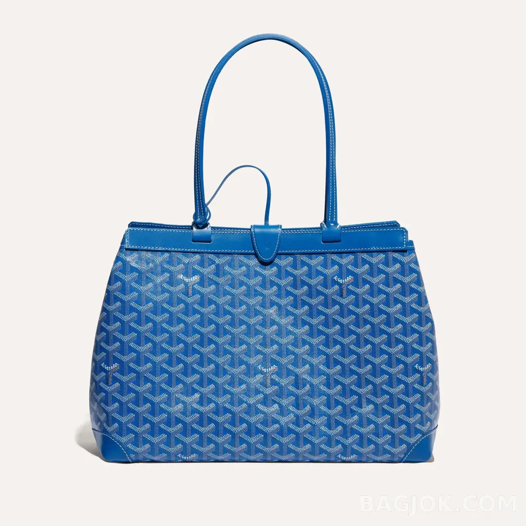 고야드 GOYARD 벨샤스 비유드 백 PM 상세 이미지