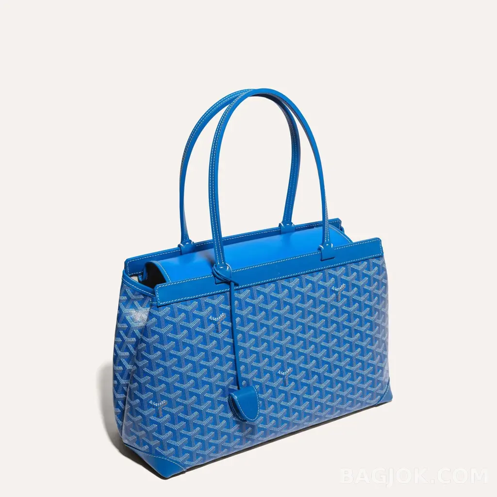 고야드 GOYARD 벨샤스 비유드 백 PM 상세 이미지