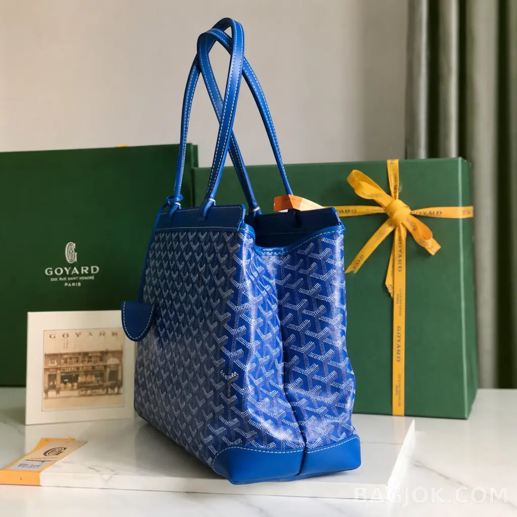 고야드 GOYARD 벨샤스 비유드 백 PM 상세 이미지