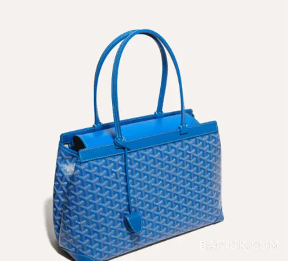 고야드 GOYARD 벨샤스 비유드 백 PM 상세 이미지