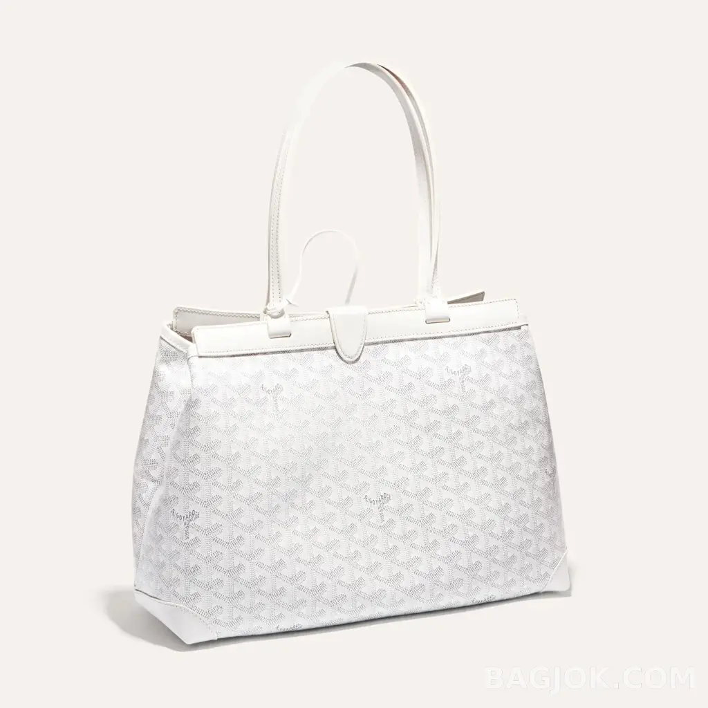 고야드 GOYARD 벨샤스 비유드 백 PM 상세 이미지