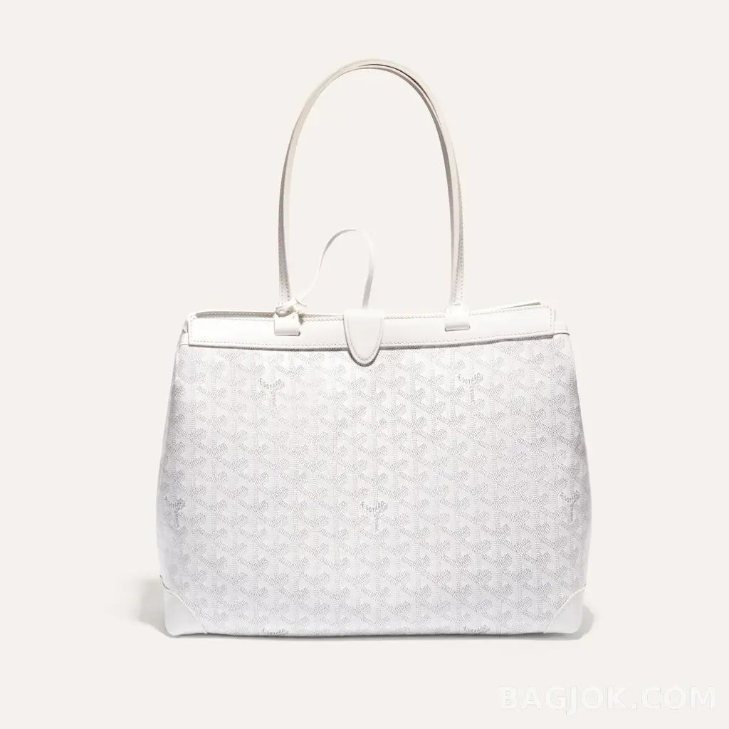고야드 GOYARD 벨샤스 비유드 백 PM 상세 이미지