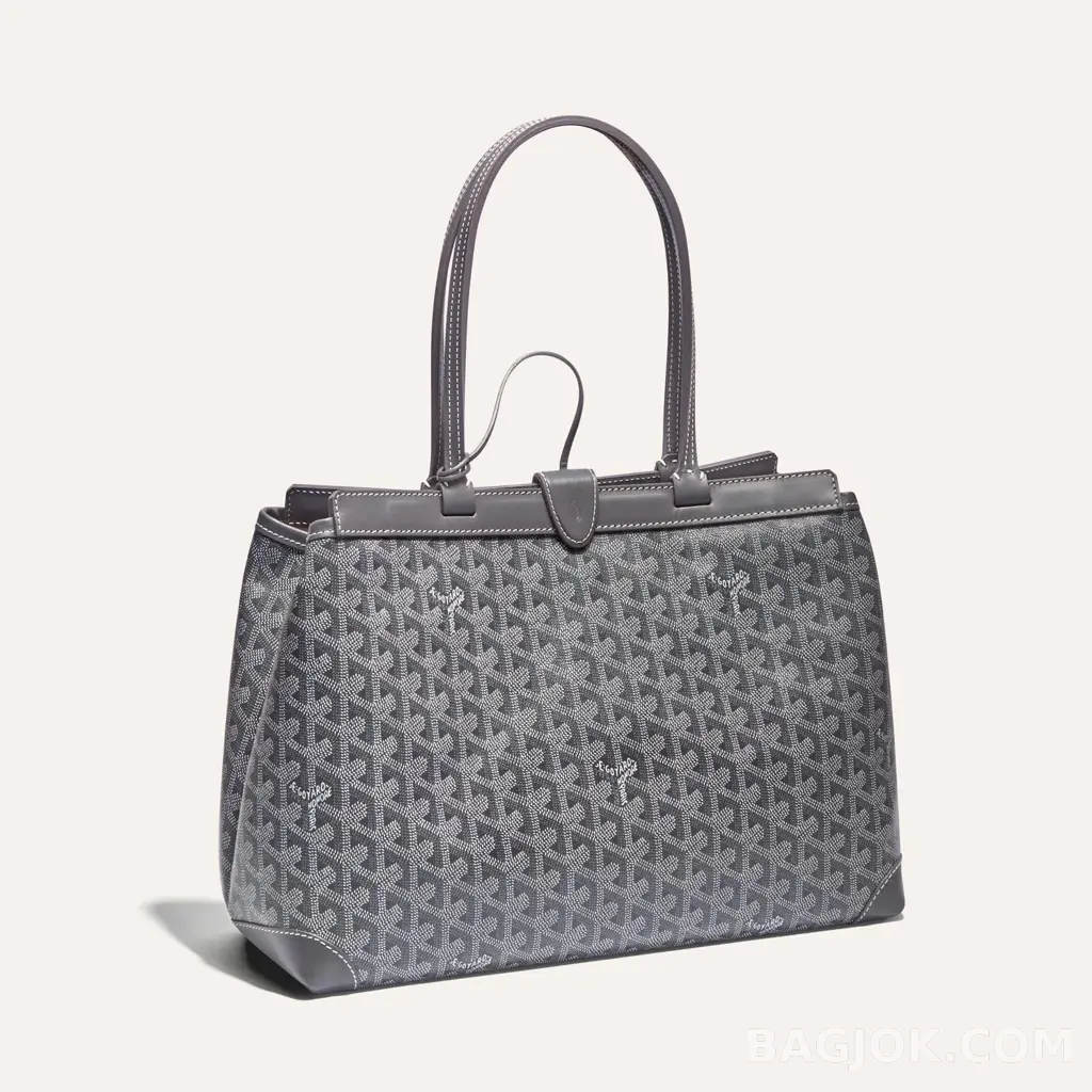 고야드 GOYARD 벨샤스 비유드 백 PM 상세 이미지