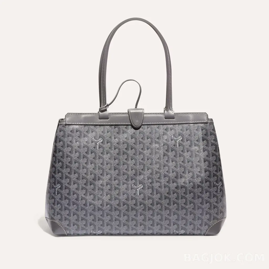 고야드 GOYARD 벨샤스 비유드 백 PM 상세 이미지
