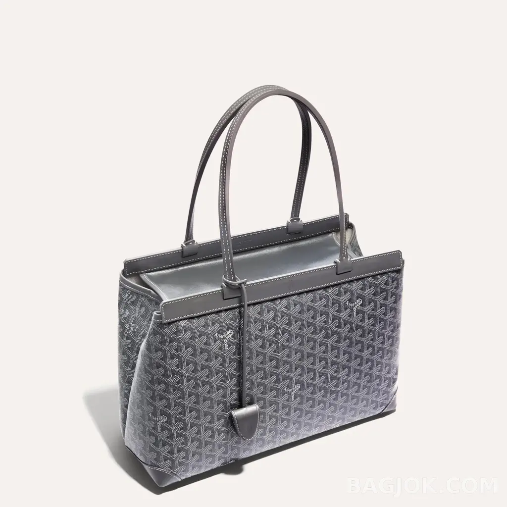 고야드 GOYARD 벨샤스 비유드 백 PM 상세 이미지