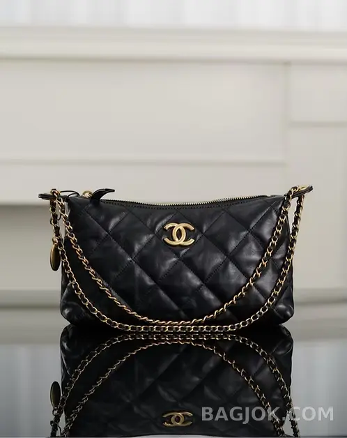 샤넬 CHANEL 25S 골드 코인 호보백 스몰 상세 이미지