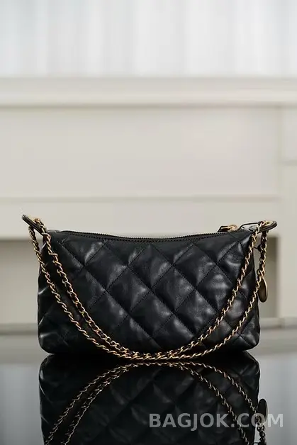 샤넬 CHANEL 25S 골드 코인 호보백 스몰 상세 이미지
