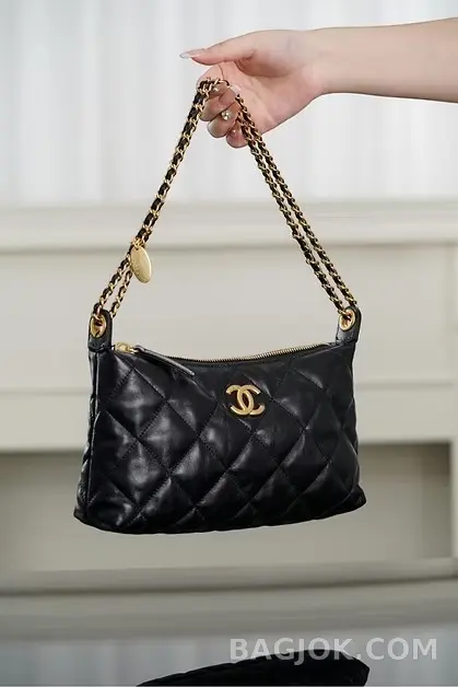 샤넬 CHANEL 25S 골드 코인 호보백 스몰 상세 이미지