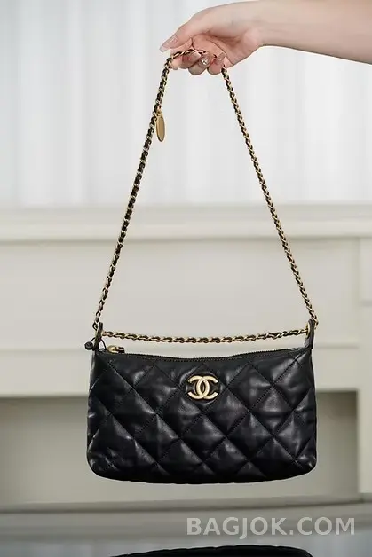 샤넬 CHANEL 25S 골드 코인 호보백 스몰 상세 이미지